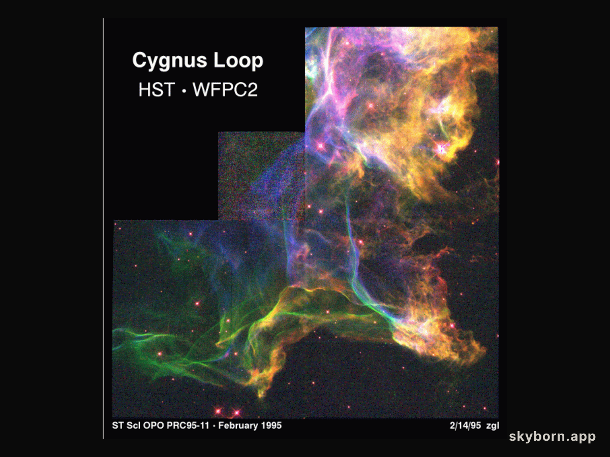 The Cygnus Loop