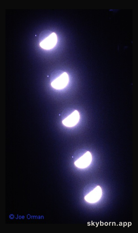 Regulus Occulted
