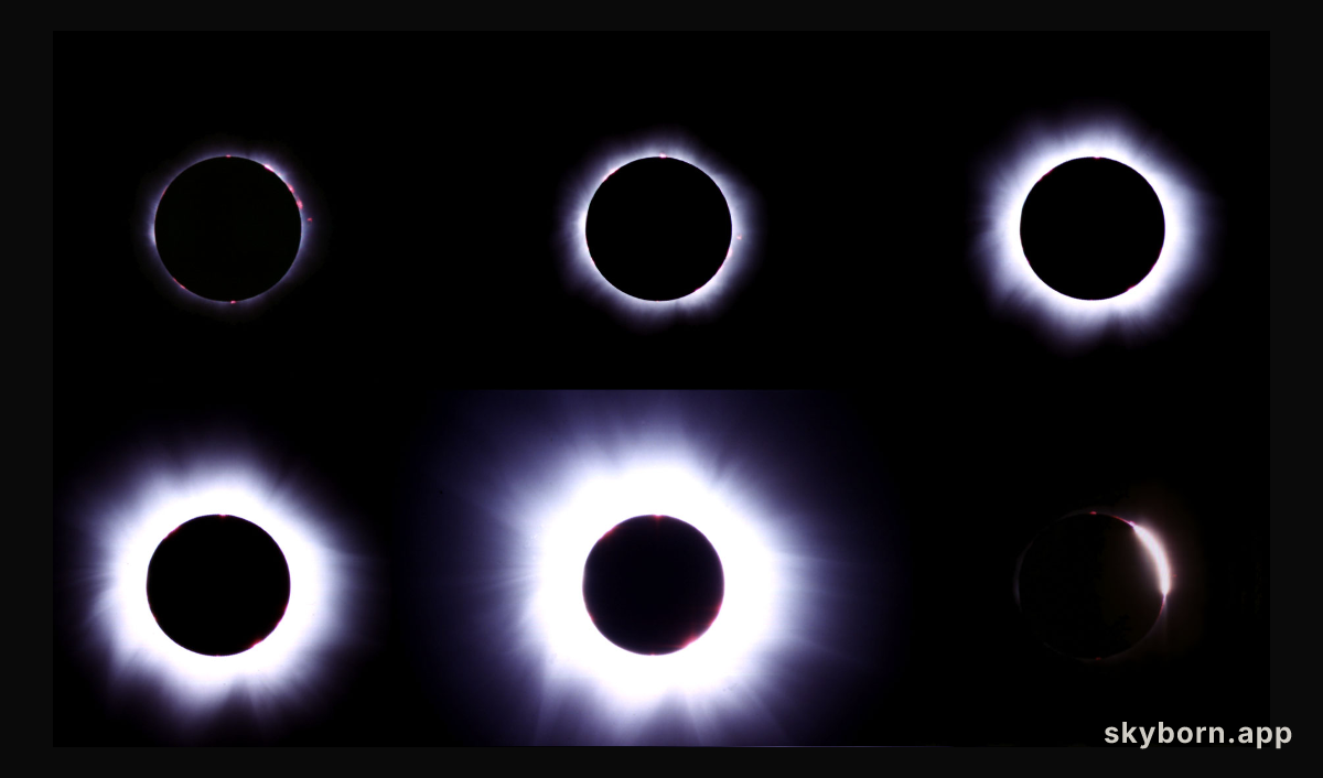 Light From The Dark Sun