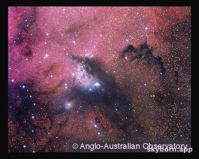 Reflections on NGC 6188