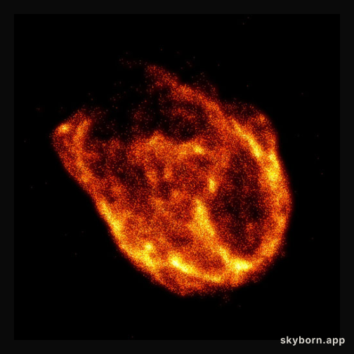 Supernova Remnant N132D in X-Rays