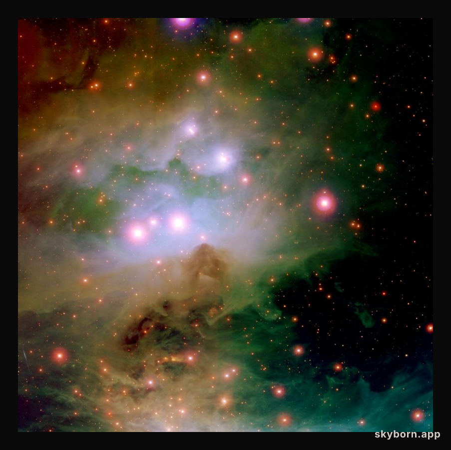 The Colorful Orion Nebula