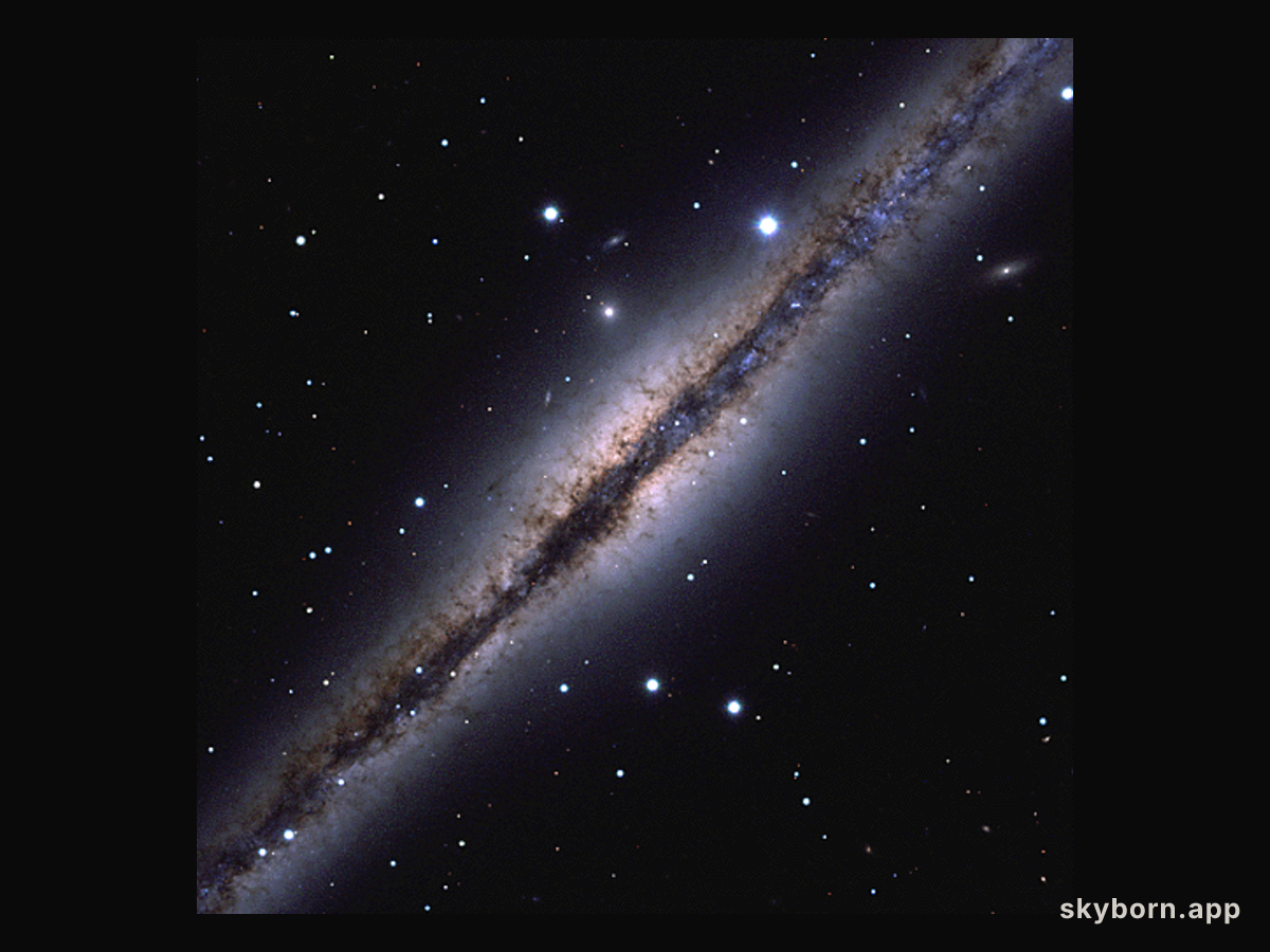 Interstellar Dust Bunnies of NGC 891