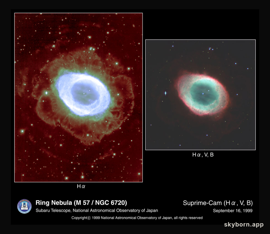 Halos Around the Ring Nebula