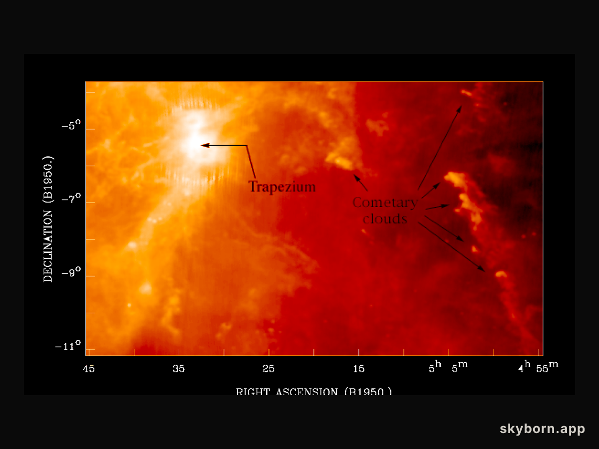Cometary Globules In Orion