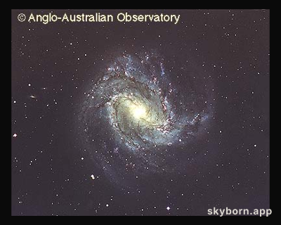 M83: A Barred Spiral Galaxy