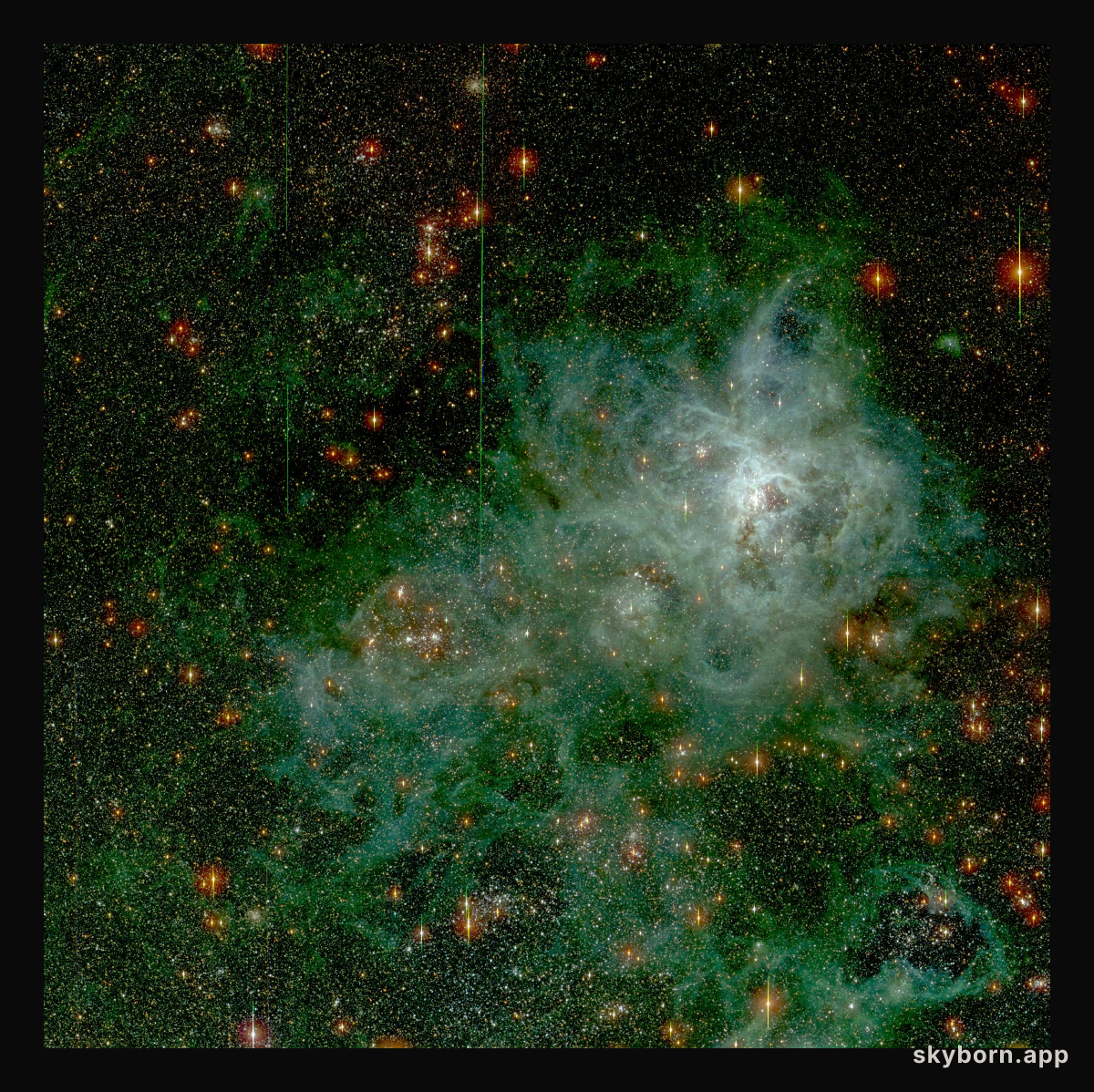 30 Doradus: The Tarantula Nebula