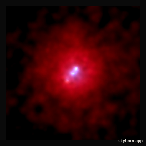3C 295: X-rays From A Giant Galaxy