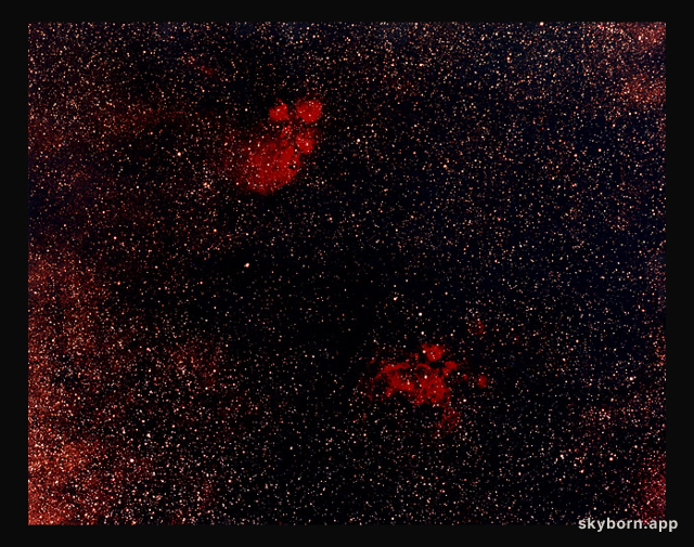 The Cat's Paw Nebula