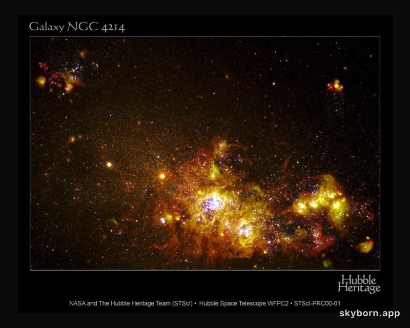 NGC 4214: Star Forming Galaxy