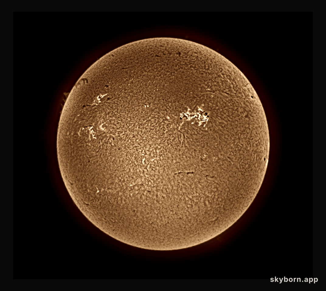 Brown Sun Bubbling