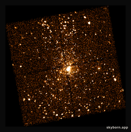 X-Ray Stars Of Orion