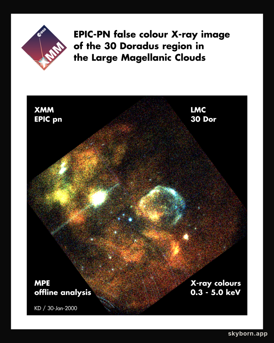 XMM-Newton First Light: X-Rays From The LMC