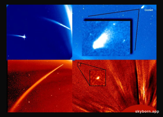 The Comets Of SOHO
