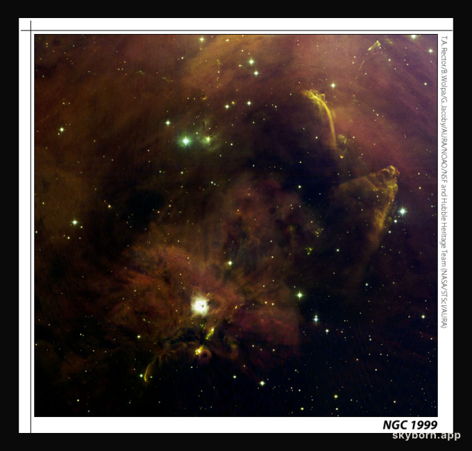 A Panorama of Oddities in Orion A