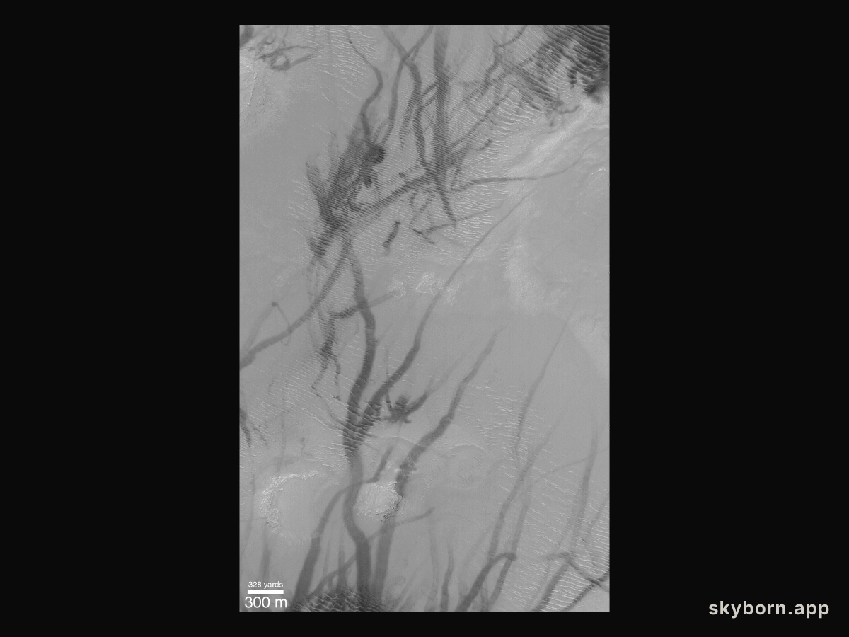 Martian Dust Devil Trails
