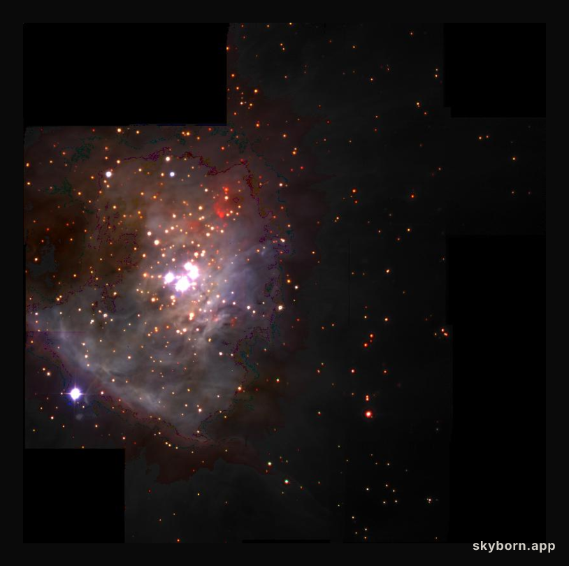 Free-Floating Planets In Orion