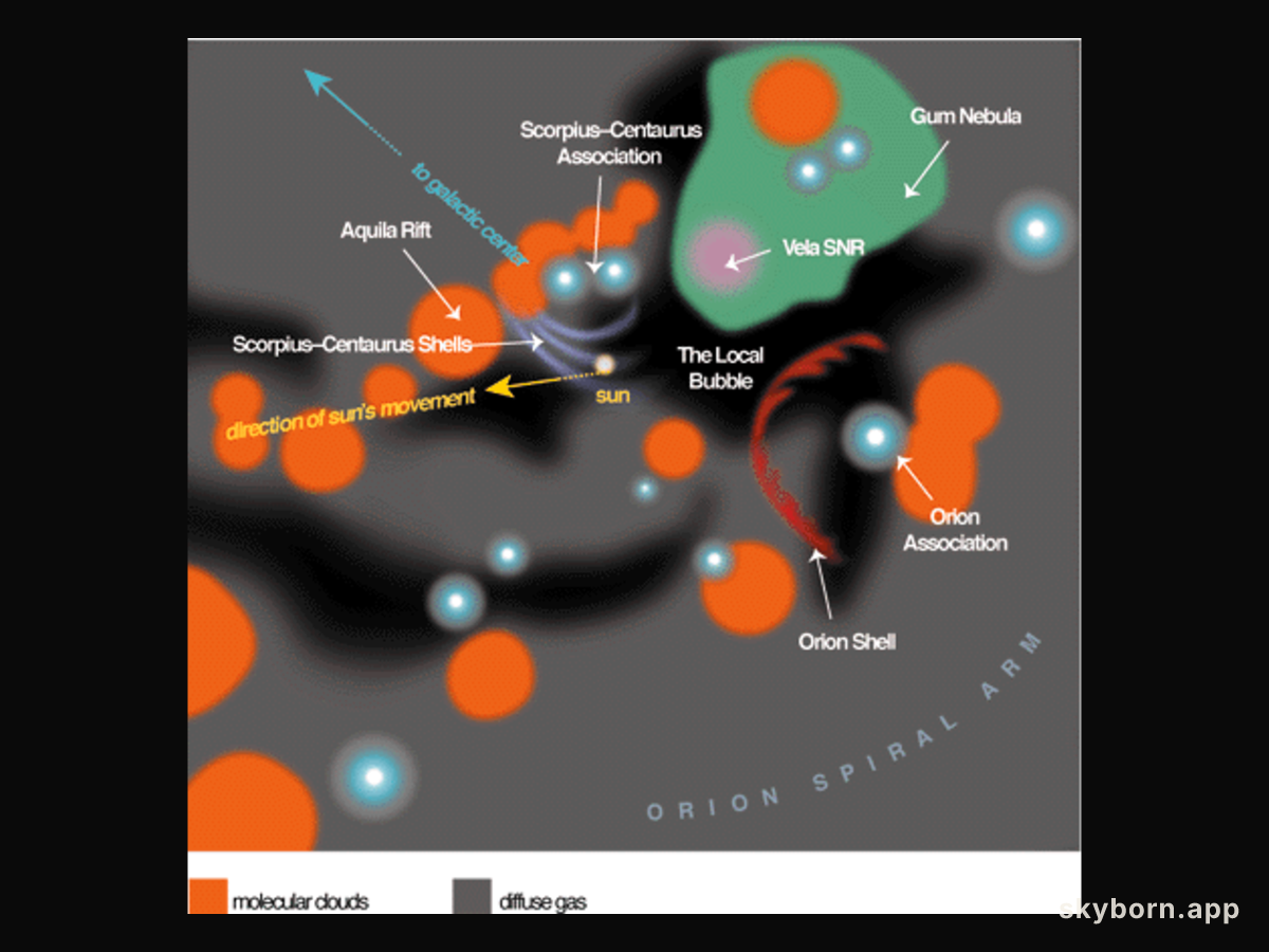 The Local Bubble and the Galactic Neighborhood