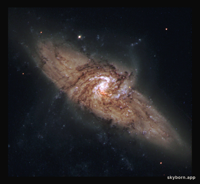 NGC 3314: When Galaxies Overlap