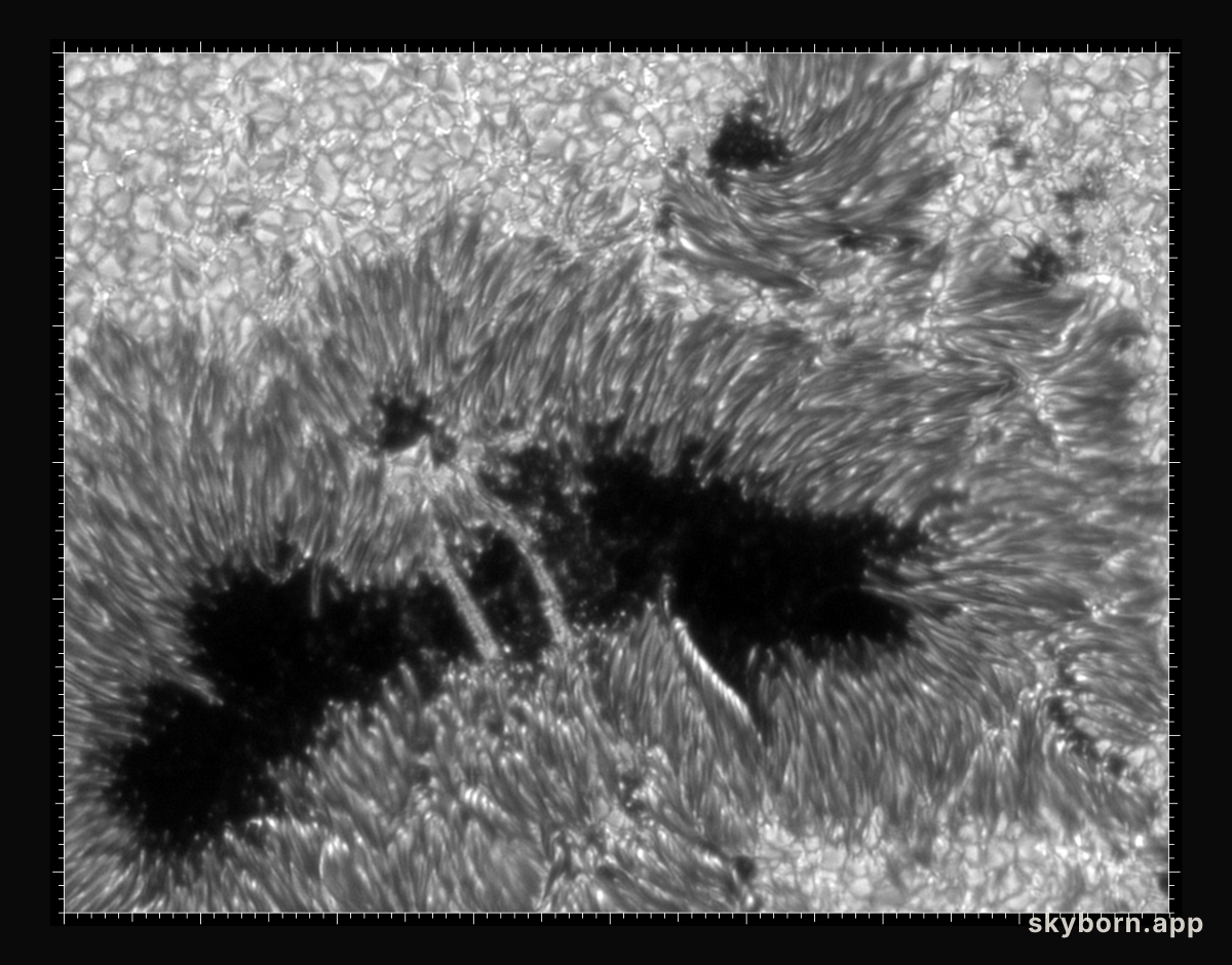 Light Bridges on the Sun