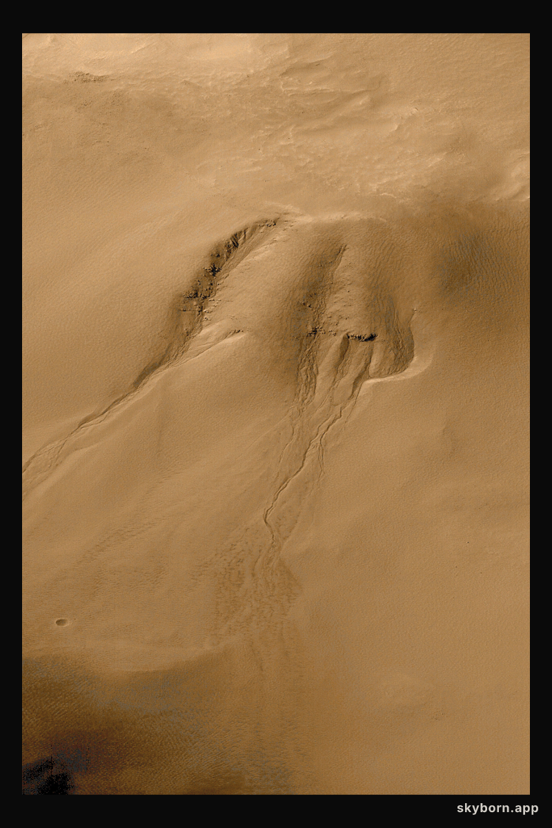 The Gullies Of Mars