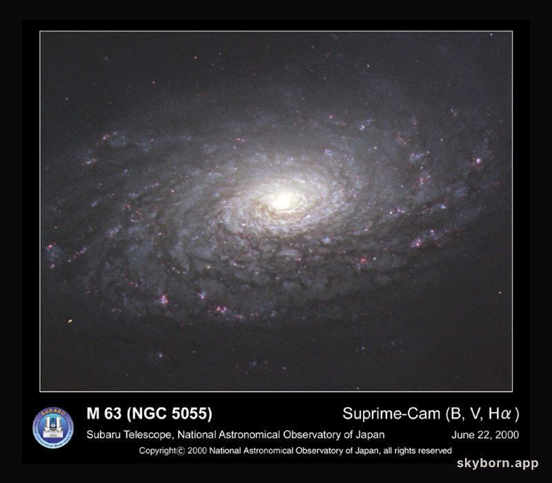 M63: The Sunflower Galaxy