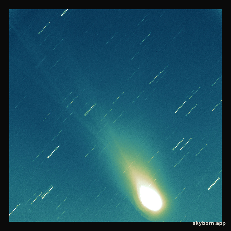 Tails Of Comet LINEAR