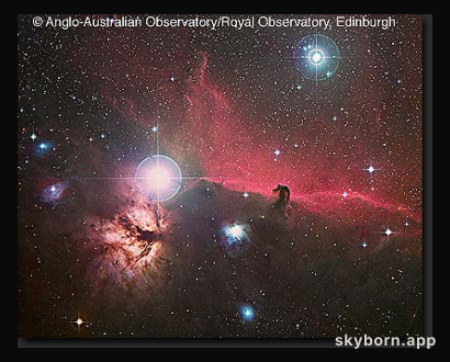 Orion's Horsehead Nebula