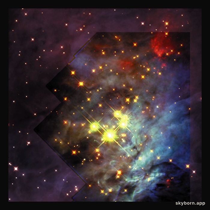The Brown Dwarfs of Orion's Trapezium