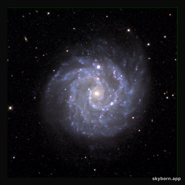 Gangly Spiral Galaxy NGC 3184
