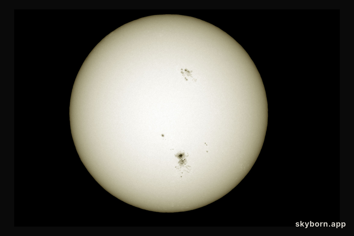 AR 9169: A Large Sunspot