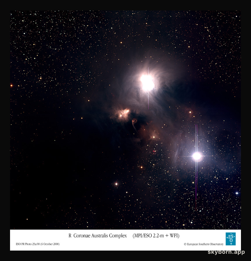 Dust and Gas Surrounding Star R Coronae Australis