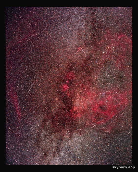 The Gum Nebula Supernova Remnant