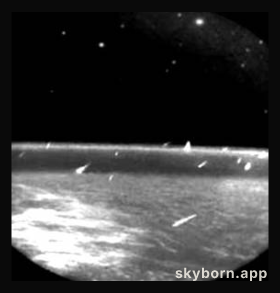 Leonids from Orbit