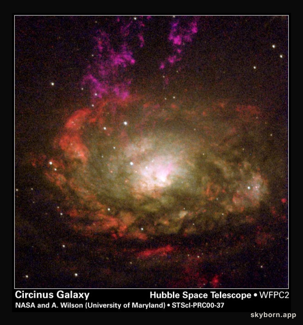 The Circinus Galaxy