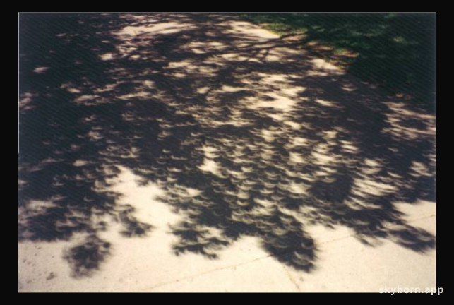 The Eclipse Tree