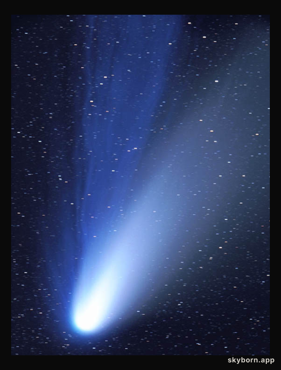 The Dust and Ion Tails of Comet Hale Bopp