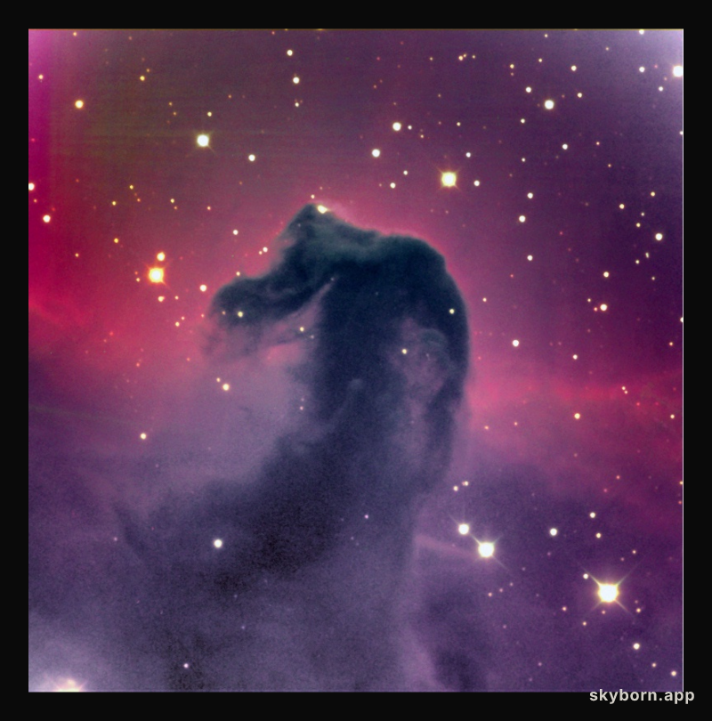 The Dark Horsehead Nebula