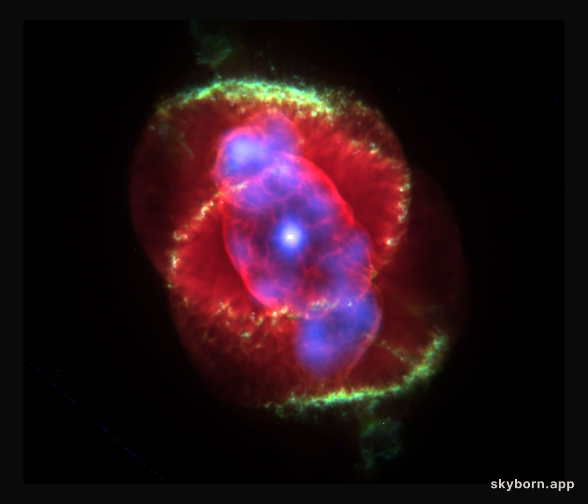 X-rays From The Cat's Eye