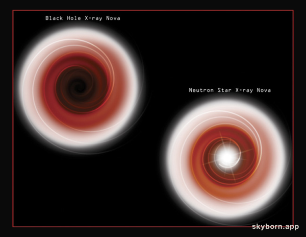 Black Holes Are Black