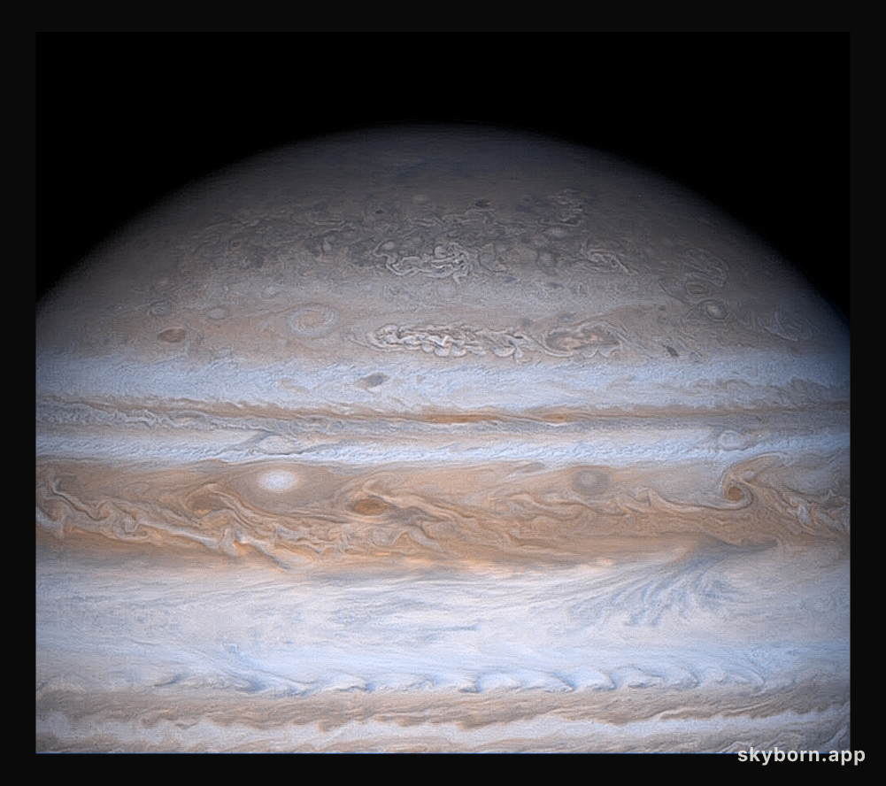 Jupiter's Brain