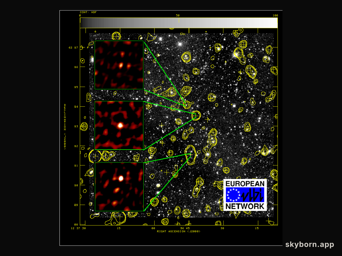 Distant Galaxies in Radio Vision