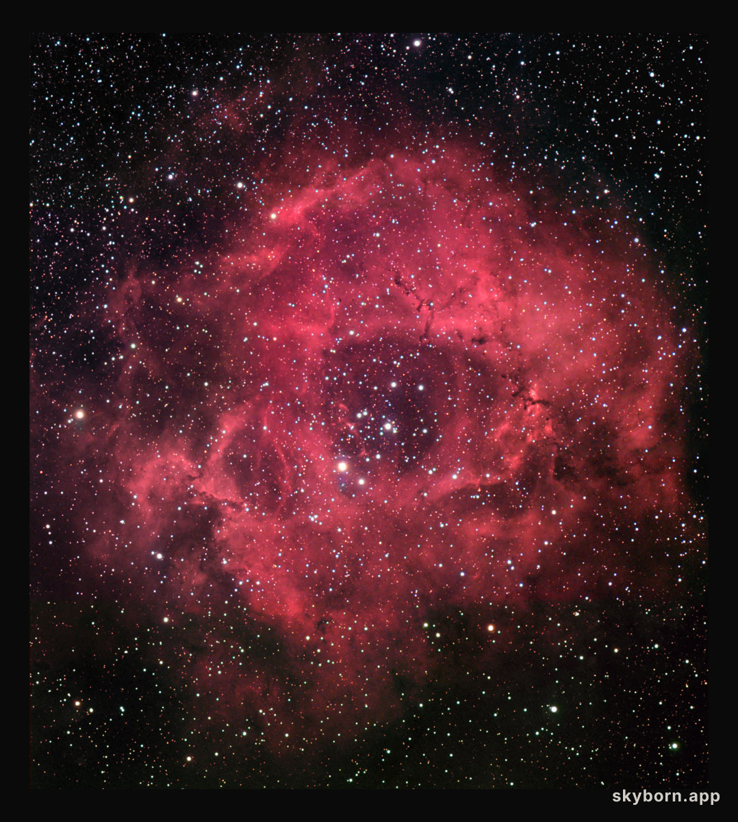 The Rosette Nebula