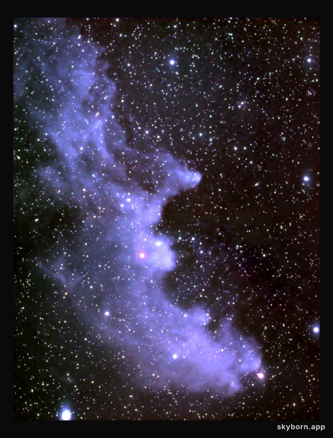 The Witch Head Nebula