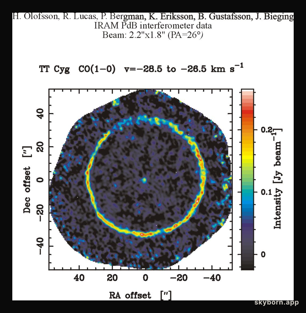 TT Cygni: Carbon Star
