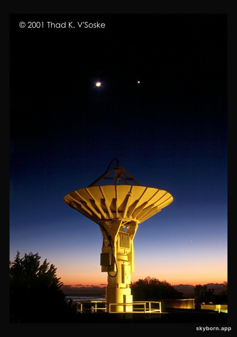 Bright Venus