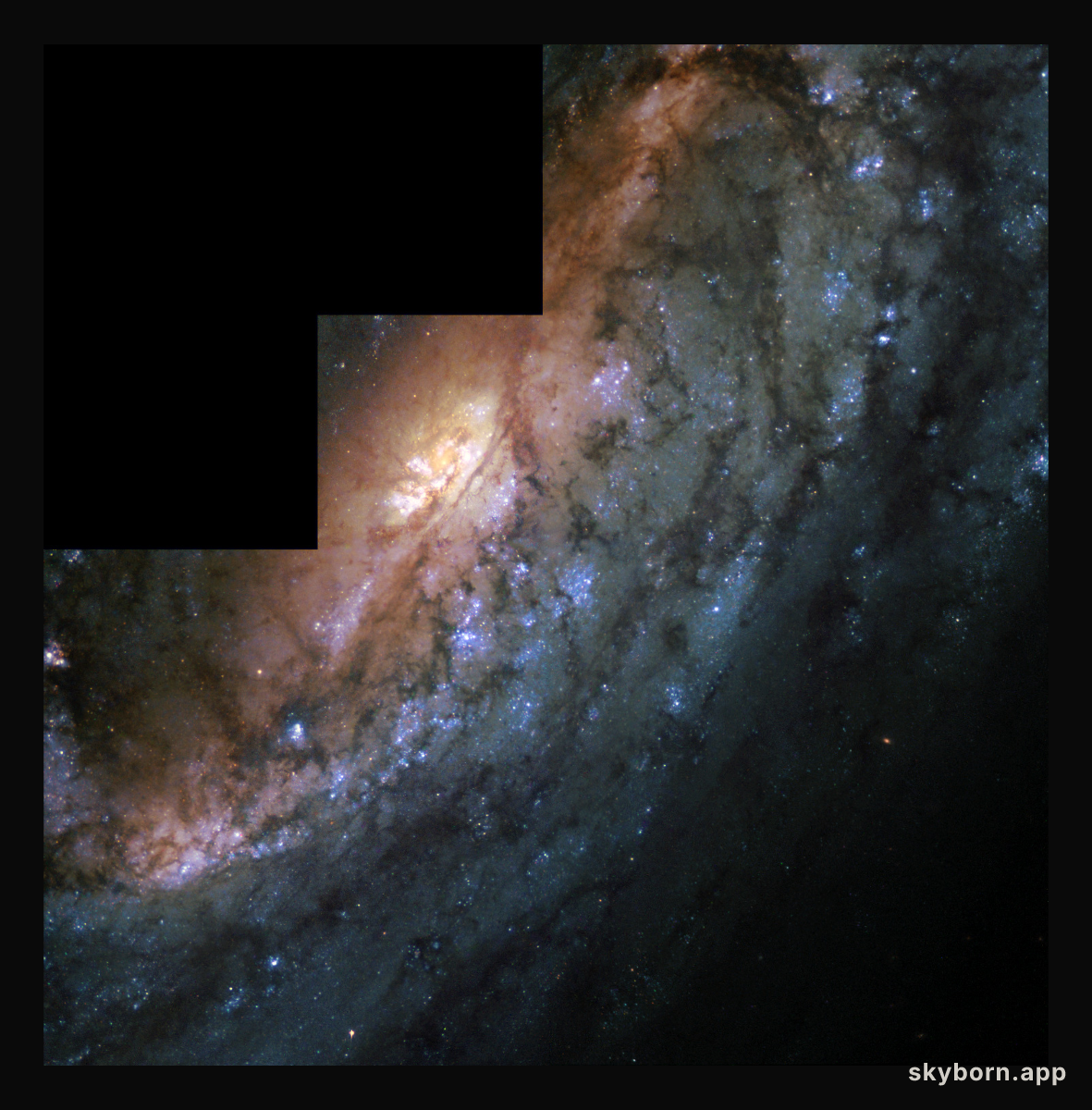 Barred Spiral Galaxy NGC 2903