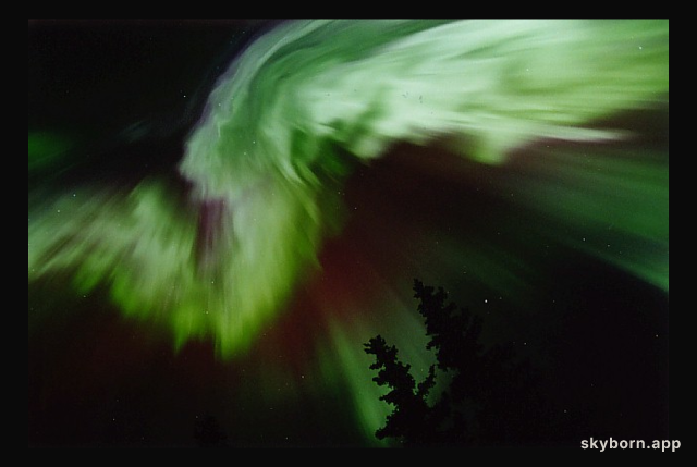 Aurora Alaskan Style