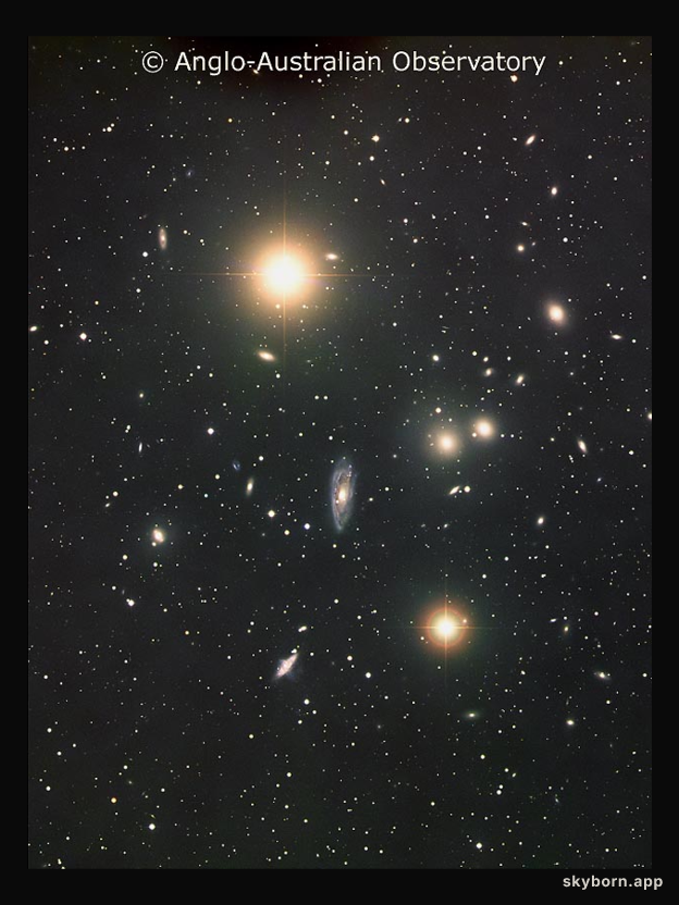 The Hydra Cluster of Galaxies