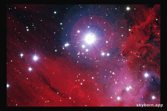 NGC 2264: Stars, Dust, and Gas